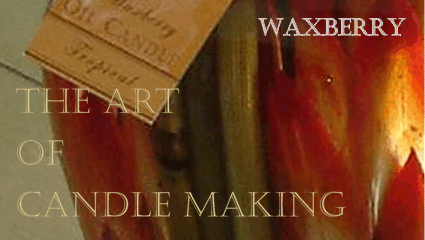 eshop at Waxberry's web store for American Made products